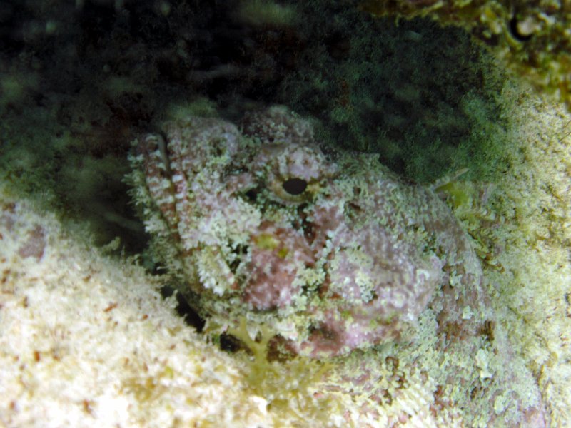 Curacao 04-12 144.jpg